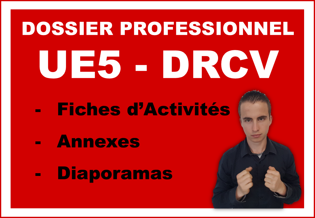 Pack DRCV | Dossier Professionnel UE5 : Développer la relation client et la vente/conseil | BTS MCO