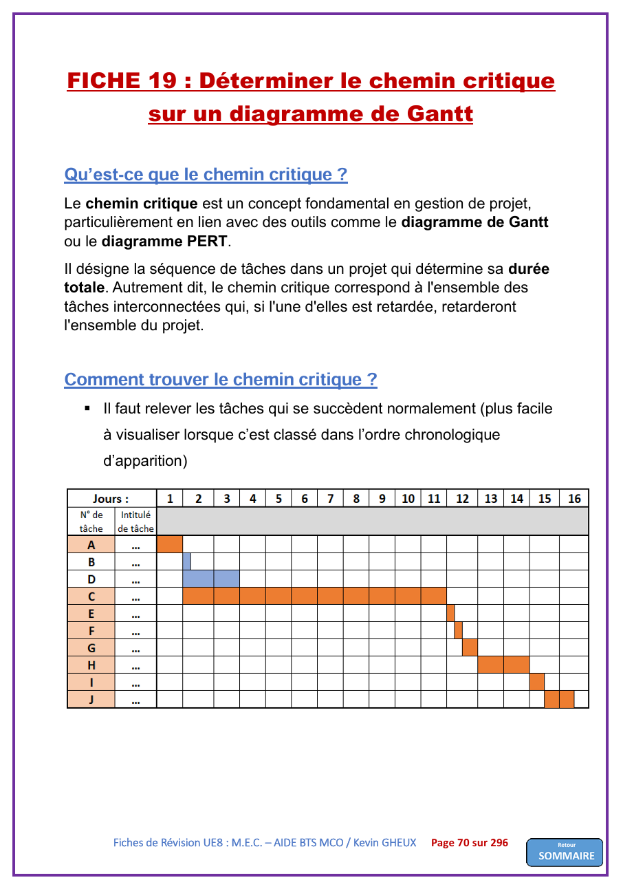 Pack FICHES DE REVISION - UE8 : Manager l'équipe commerciale - BTS MCO