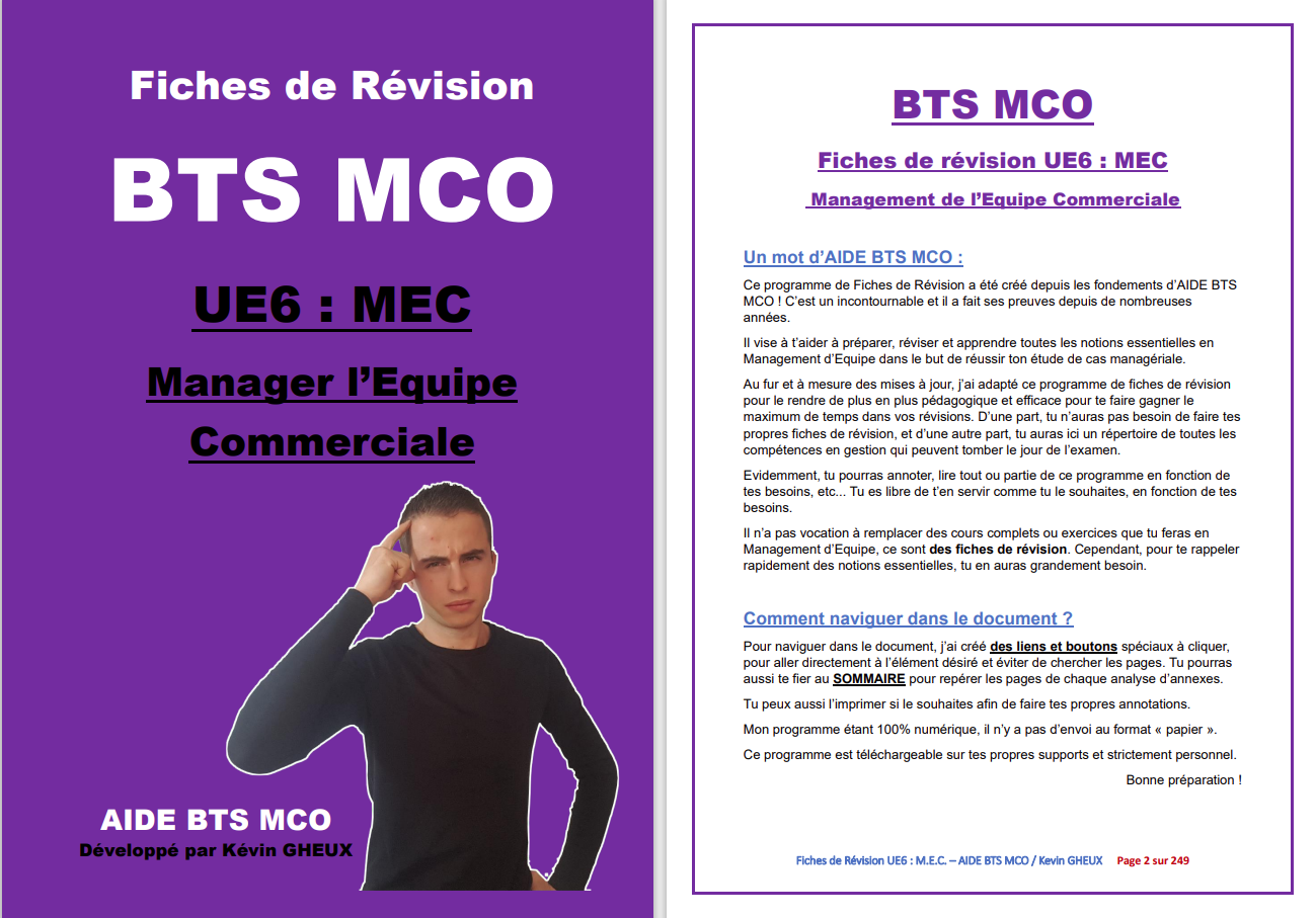 FICHES DE REVISION - UE6 : Manager l'équipe commerciale - BTS MCO