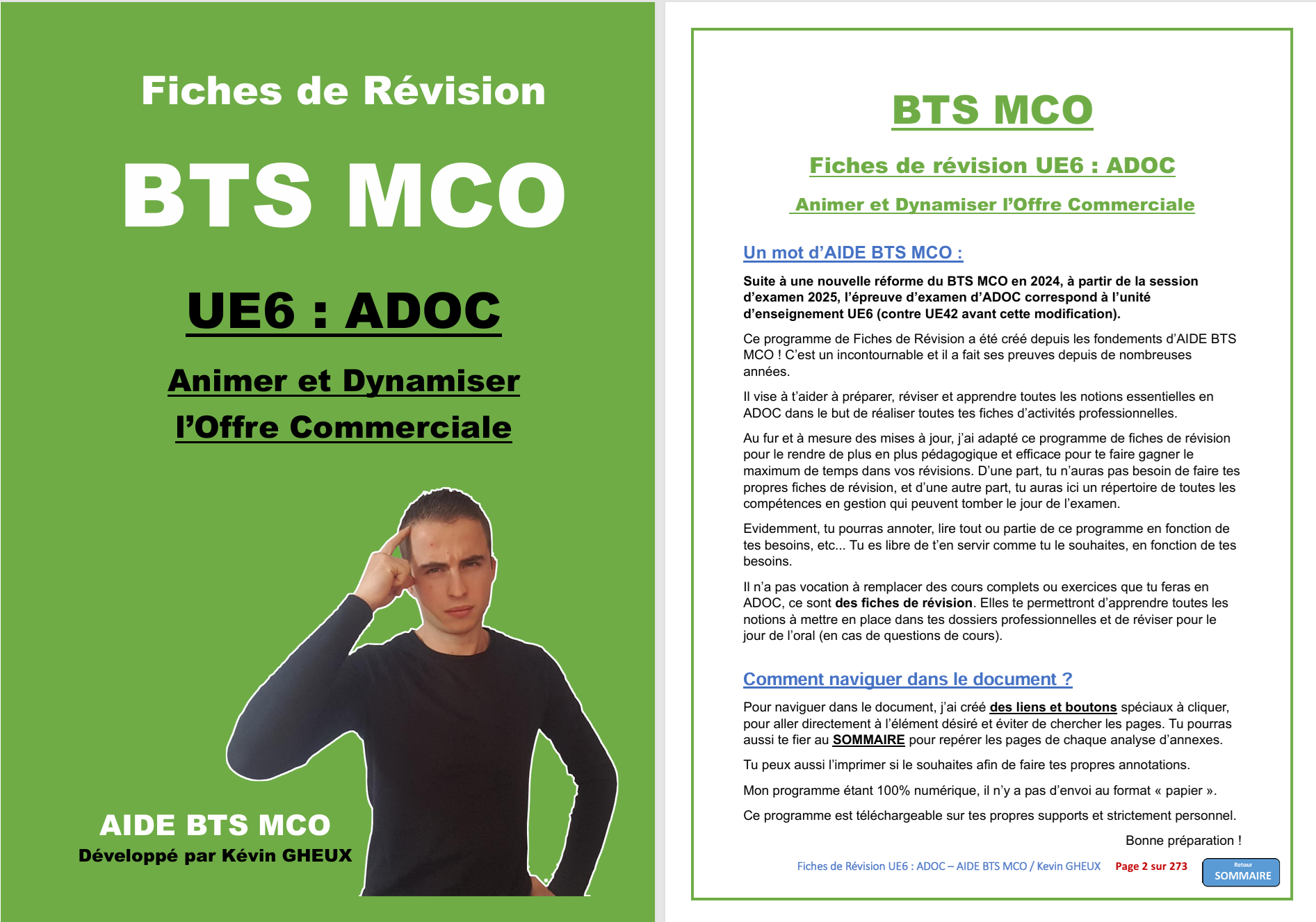 Pack FICHES DE REVISION - UE6 : Animer et Dynamiser l'offre commerciale - BTS MCO
