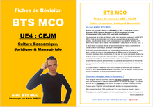 Charger l&#39;image dans la galerie, PACK FICHES DE REVISION du BTS MCO