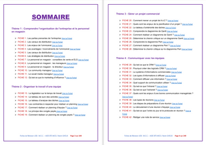 FICHES DE REVISION - UE8 : Manager l'équipe commerciale - BTS MCO