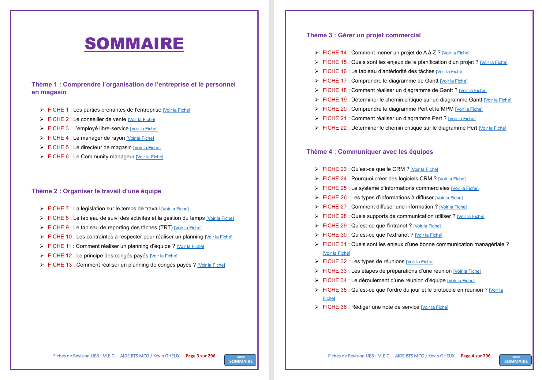 Pack FICHES DE REVISION - UE8 : Manager l'équipe commerciale - BTS MCO