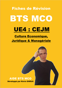 FICHES DE REVISION - UE4 / CEJM - Culture ECONOMIQUE / JURIDIQUE et MANAGERIALE - BTS TERTIAIRE