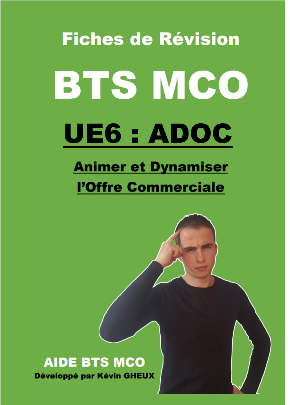 Pack FICHES DE REVISION - UE6 : Animer et Dynamiser l'offre commerciale - BTS MCO