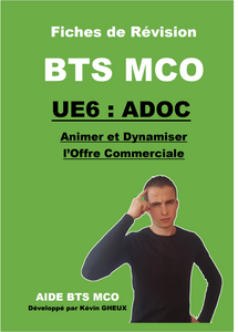 FICHES DE REVISION - UE6 : Animer et Dynamiser l'offre commerciale - BTS MCO