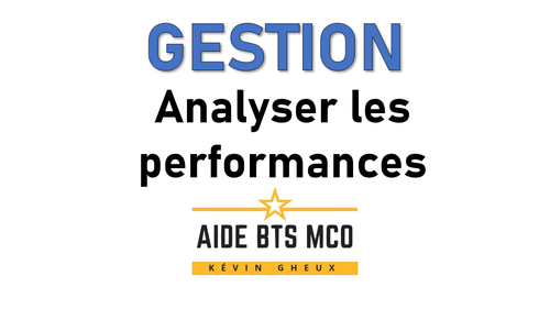 #10 L'analyse des performances par les tableaux de bord - Cours de GESTION du BTS MCO