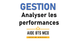 #10 L'analyse des performances par les tableaux de bord - Cours de GESTION du BTS MCO